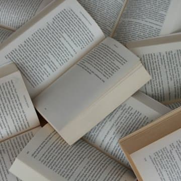 Novel