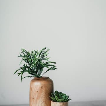 Plant pot
